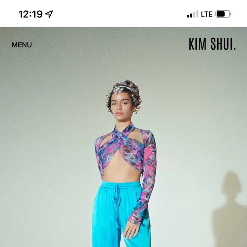 Never worn before mesh Kim Shui top